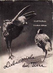 Heilborn,Adolf und Friedrich Bhme  Liebesspiele der Tiere 