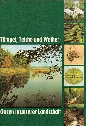 Kabisch,Klaus+Joachim Hemmerling  Tmpel,Teiche und Weiher - Oasen in unserer Landschaft 
