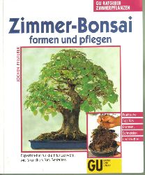 Pfisterer,Jochen  Zimmer-Bonsai formen und pflegen 