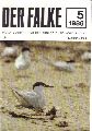 Der Falke  Der Falke 33.Jahrgang 1986 Heft 5 