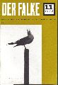 Der Falke  Der Falke 20.Jahrgang 1973 Ausgabe A. Heft 1 bis 11 
