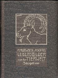 Meerwarth,H.+K.Soffel  Lebensbilder aus der Tierwelt. Sugetiere. Band I, II + III (3 Bde.) 