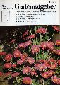 Der praktische Gartenratgeber  Jahrgang 1981.Ausgabe B.Heft 1 bis 10 und 12 (Heft 11 fehlt) 