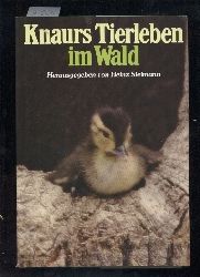 Sutton,Ann+Myron  Knaurs Tierleben im Wald 