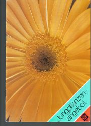 VEB Erfurter Blumensamen (Hsg.)  Jungpflanzenangebot Katalog VSB DDR 