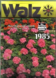 Walz Samen GmbH  Hauptkatalog 1985 und 3 Kataloge über Sommerblumen und Viola 