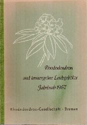 Rhododendron-Gesellschaft (Hsg.)  Rhododendron und immergrne Laubgehlze Jahrbuch 1957 