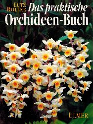 Rllke,Lutz  Das praktische Orchideen-Buch 
