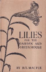 Lilien: Macfie,D.T.  Lilies for the garden and greenhouse 