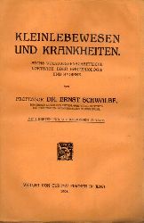 Schwalbe,Ernst  Kleinlebewesen und Krankheiten 