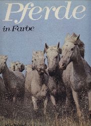 Alcock,Anne  Pferde in Farbe 