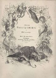 Pppig,Eduard  Illustrierte Naturgeschichte des Thierreichs-Anatomie,Physiologie und 