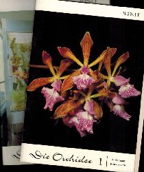 Die Orchidee  Die Orchidee 21.Jahrgang 1970 Heft 1 bis 6 (6 Hefte) 