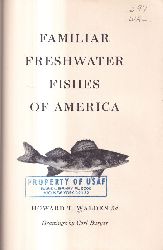 Walden,Howard T.  Familiar Freshwater Fishes of America 