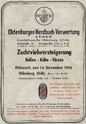 Oldenburger Herdbuch-Verwertung e.G.m.H.  Zuchtviehversteigerung Bullen,Khe,Frsen Mittwoch,den 14.Nov.1956 