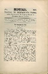 Rabenhorst,L.  Hedwigia Sechszehnter Band 1877 Nr. 1-12 (12 Hefte) 