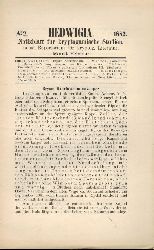 Rabenhorst,L.  Hedwigia Zweiundzwanzigster Band 1882 Nr. 2-12 (11 Hefte) 