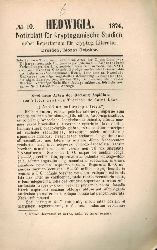 Rabenhorst,L.  Hedwigia Jahr 1874 Heft 10 und 12 (2 Hefte) 