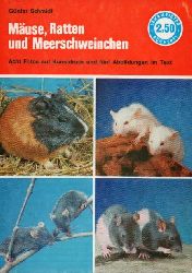 Schmidt,Gnter  Muse,Ratten und Meerschweinchen.Haltung,Pflege und Zucht 