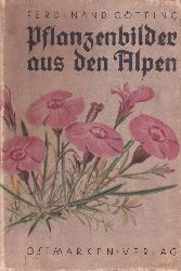 Gtting,Ferdinand  Pflanzenbilder aus den Alpen 