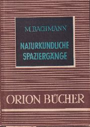 Bachmann,Max  Naturkundliche Spaziergnge (Orionbcher Band 11) 