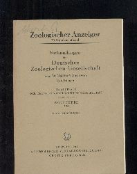 Zoologischer Anzeiger  30.Supplementband 