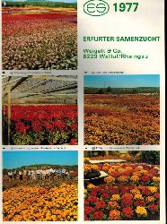 Erfurter Samenzucht Weigelt und Co.  Erfurter Samenzucht Hauptkatalog 1977 
