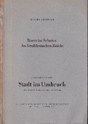 Seberich,Rainer  Bozen im Schatten des Grodeutschen Reichs 