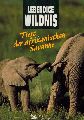 Das Beste  Lebendige Wildnis - Tiere der afrikanischen Savanne 