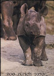 Zrich-Zoo  Bericht ber das Jahr 1970 (Titelbild Spitzmaulnashorn) 
