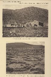 Khn,Franz  Vegetationsbilder aus dem Nordwesten Argentiniens 