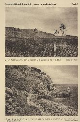 Rechinger,K.H.  stliche gische Inseln 