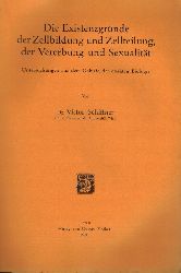 Schiffner,V.  Die Existenzgrnde der Zellbildung und Zellteilung, der Vererbung und 