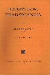 Kster,Ernst  Hundert Jahre Tradescantia (Vortrag) 
