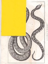 Buffon  Ophidiens ou Serpents. L