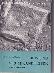 Schuster,Gottfried  Virus und Viruskrankheiten 