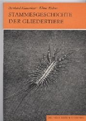 Klausnitzer,Bernhard+Klaus Richter  Stammesgeschichte der Gliedertiere (Articulata) 