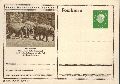 Hannover-Zoo  Gruppe von Indischen Elefanten 