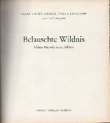 Roedelberger,Franz A.+Vera I.Groschoff  Belauschte Wildnis 