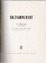 Lbl, Robert  Salzkammergut. Ein Bildwerk m.Einf.v.H.Klier 