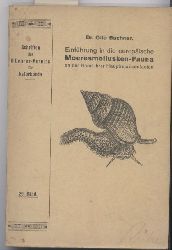 Buchner,Otto  Einführung in die europäische Meeresmollusken-Fauna an der Hand ihrer  