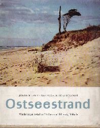 Ostsee: Lenz,Jrgen  Ostseestrand.Wanderungen zwischen Usedom und Schleswig-Holstein 