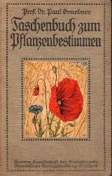 Graebner,Paul  Taschenbuch zum Pflanzenbestimmen 