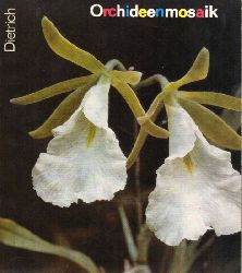 Dietrich,Helga  Orchideenmosaik 