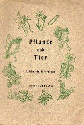 Gerhard Isert Verlag (Hsg.)  Pflanze und Tier 