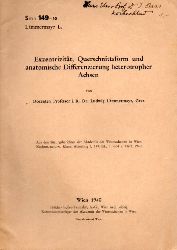 Lmmermayr,Ludwig  Exzentrizitt, Querschnittsform und anatomische Differenzierung 