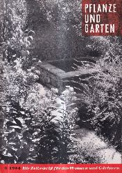 Pflanze und Garten  Pflanze und Garten 4.Jahrgang 1954 Heft 6 (1 Heft) 
