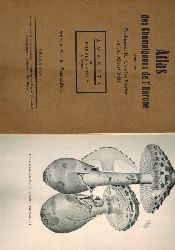 Vesely,Rudolf  Atlas des Champignons de l