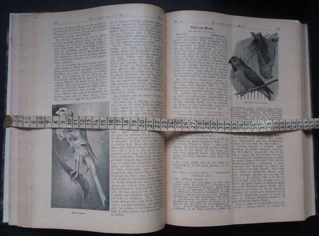 Hrsg.  Ruß, Dr.K. + Illustrator Neunzig,K.   Die gefiederte Welt -vollständiger Jahrgang 1935  