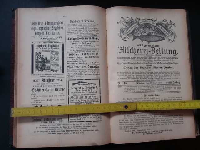 Hrsg. Bayrischer und Deutscher Fischerei - Verein   Allgemeine Fischerei - Zeitung  